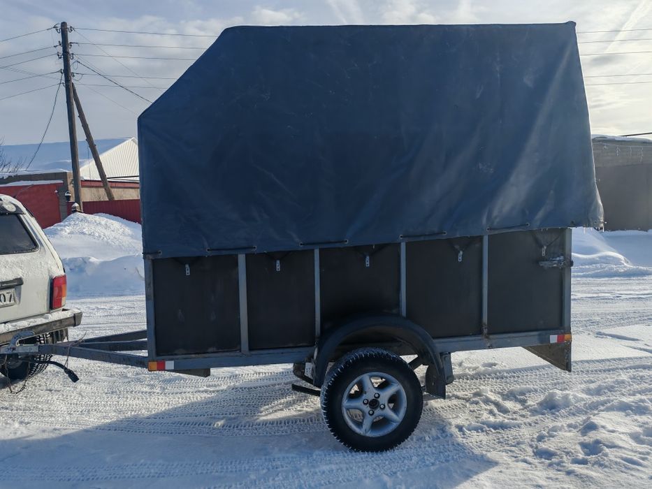 Коровы бычки бараны