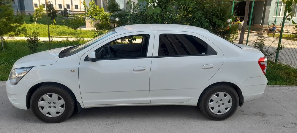 Кобилт 2023 йили 76минг юргани