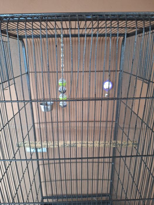 Voliera, colivie, cusca Pasari, papagali