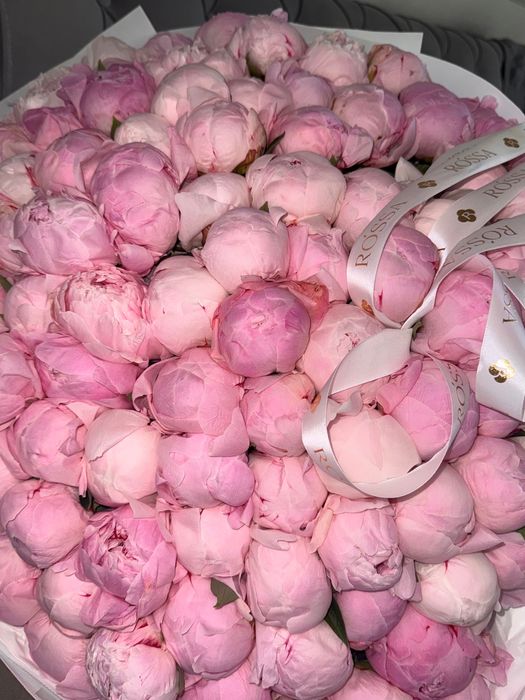 Пионы свежие, нераскрытые  101 шт