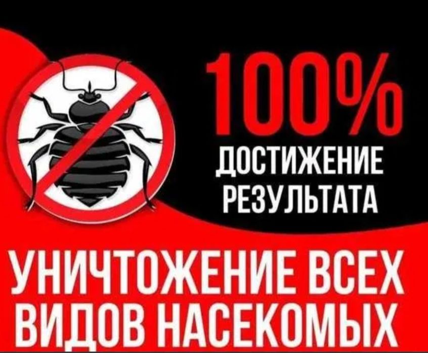 Dezinfeksiya xizmati 24/7