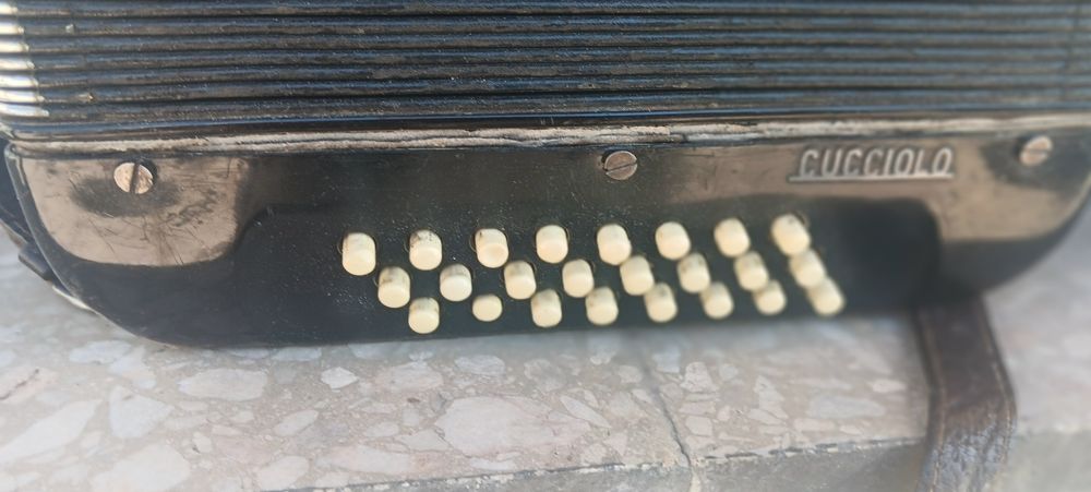 Детски  акордеон   24 баса работещ  cucciolo