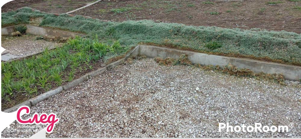 Косене  на трева и други градинарски  услуги