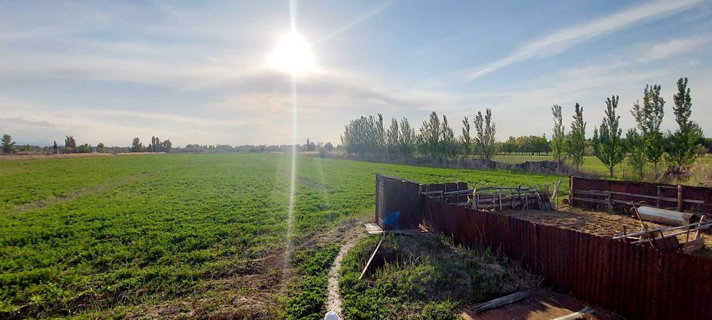 Продам дом и землю