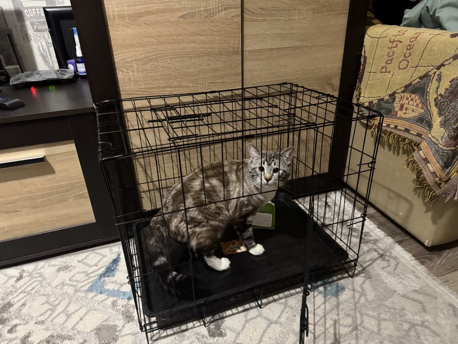 клетка для животных