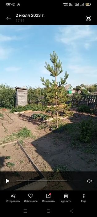 Продам дачу сообщество ромашка