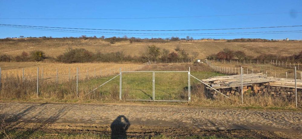 Teren 2000 mp intravilan Hamba | Material cabană/casă | apa si curent