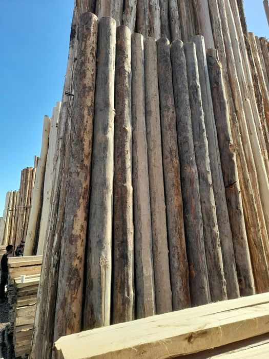 Terak mahsulotlari optim