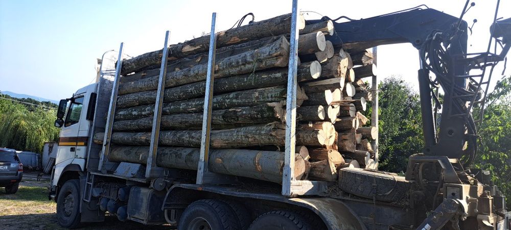 Lemn de foc la domiciliu