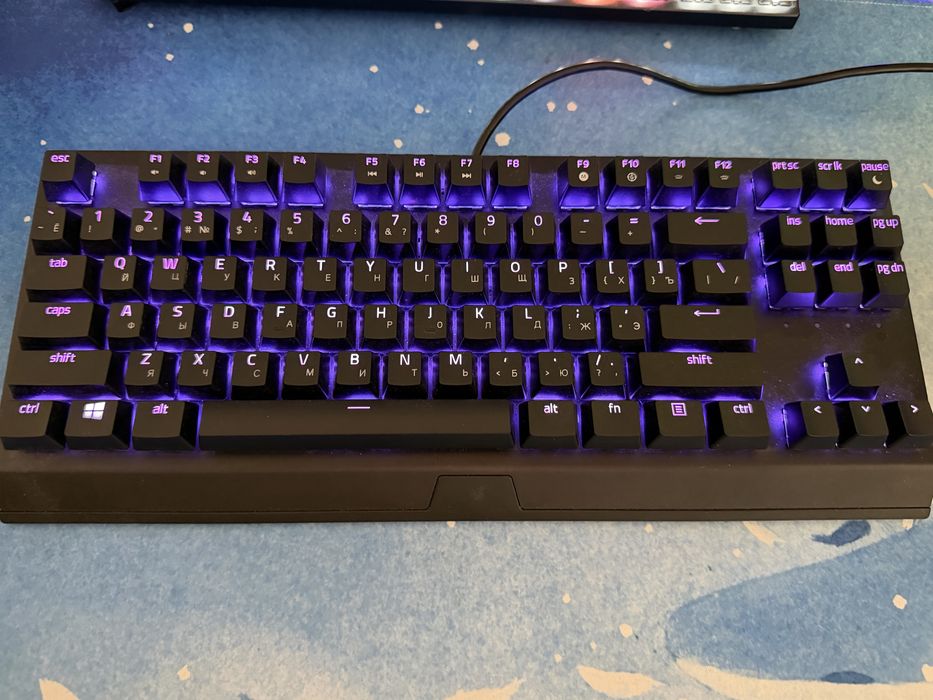 Razer blackwidow v3 tenkeyless
