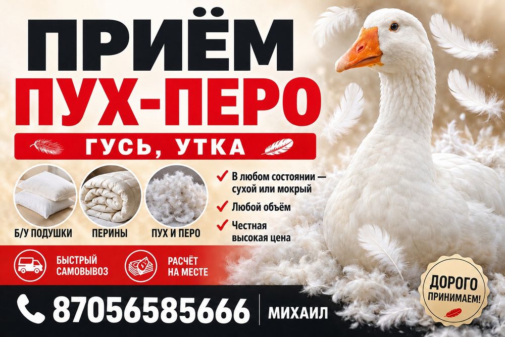 Прием ПУХ-ПЕРО!!!
