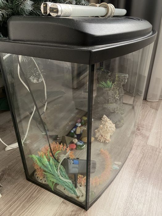 Аквариум для Рыб