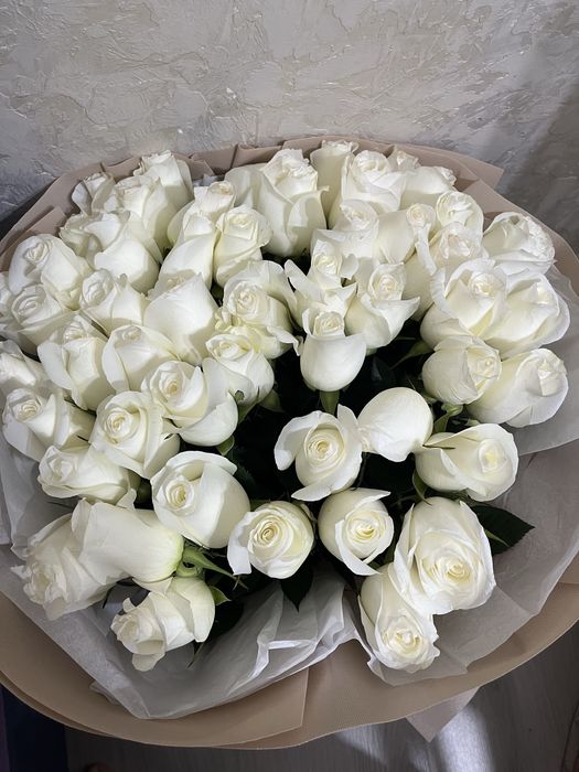 Продам цветы СРОЧНО