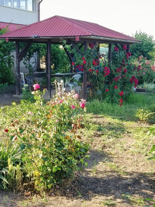 Casa cu livada Valcele Călărași