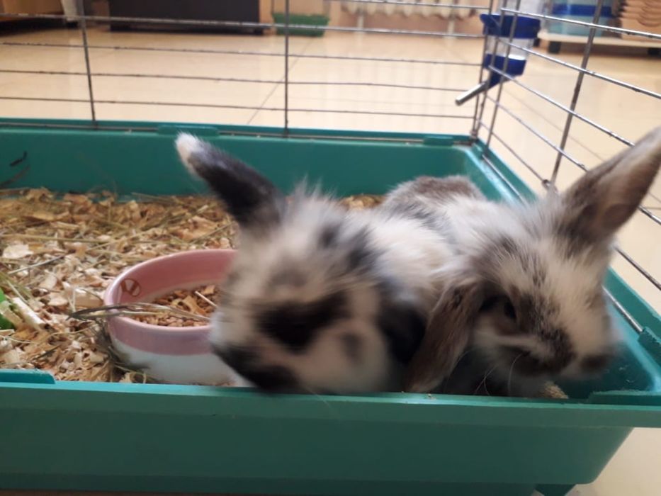 Подарок на 14 февраля !