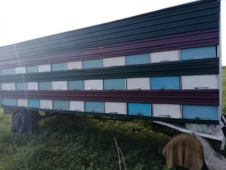 Пчеловодческий прицеп