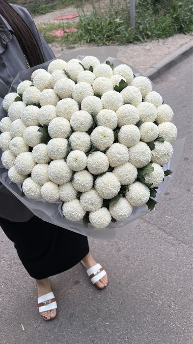 Цветы рафаельки безумно нежные