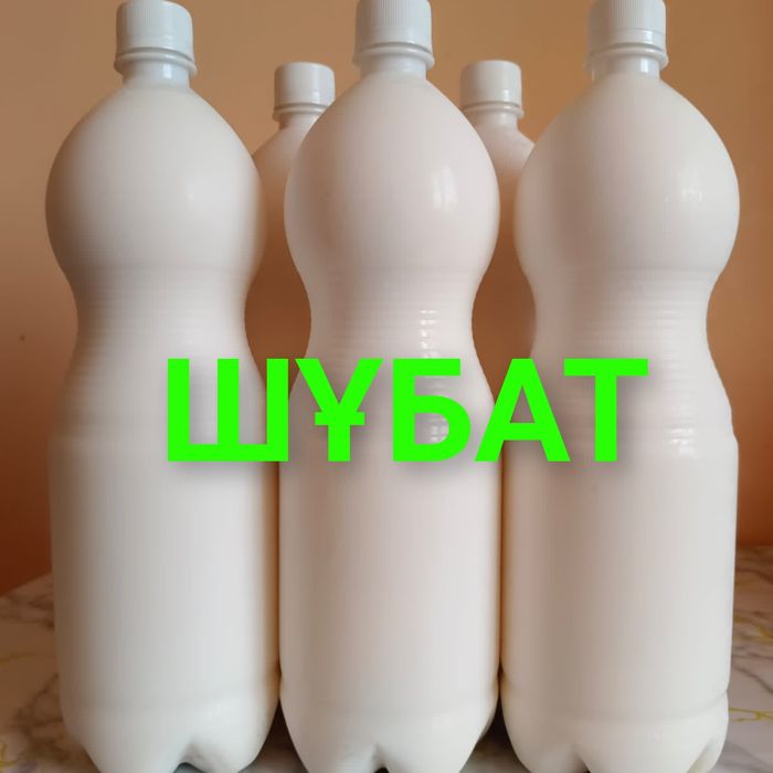 Қымыз балғын кумыс шұбат