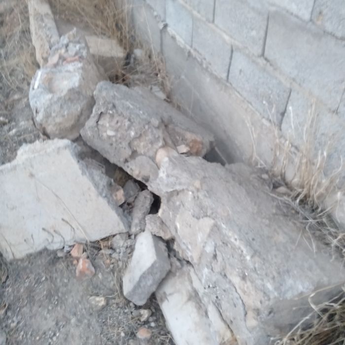 Блужник бетондар