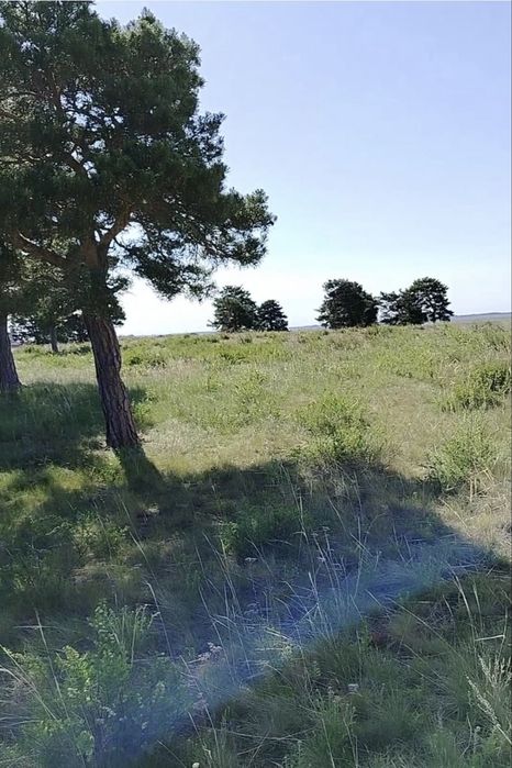 Акколь земельный участок