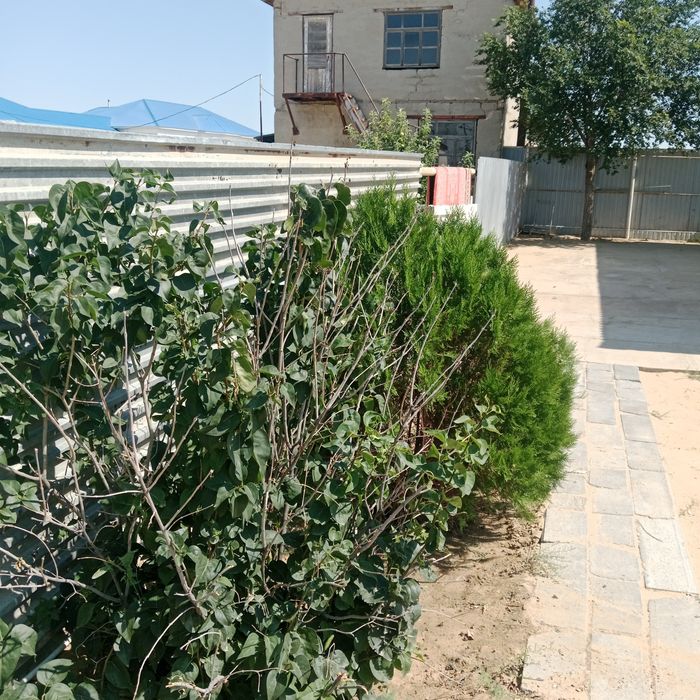 Продаеться дом 10 сотка