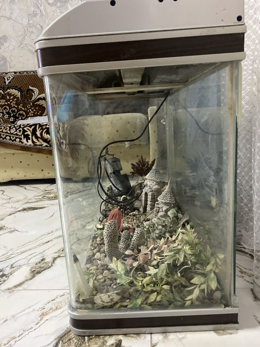 Аквариум для рыб