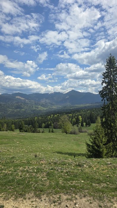 Teren de vanzare Colibița