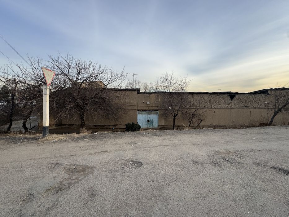 Ko’ksaroyda insitutdan otganda masjiddi torisida ugulavoy yaxshi joy