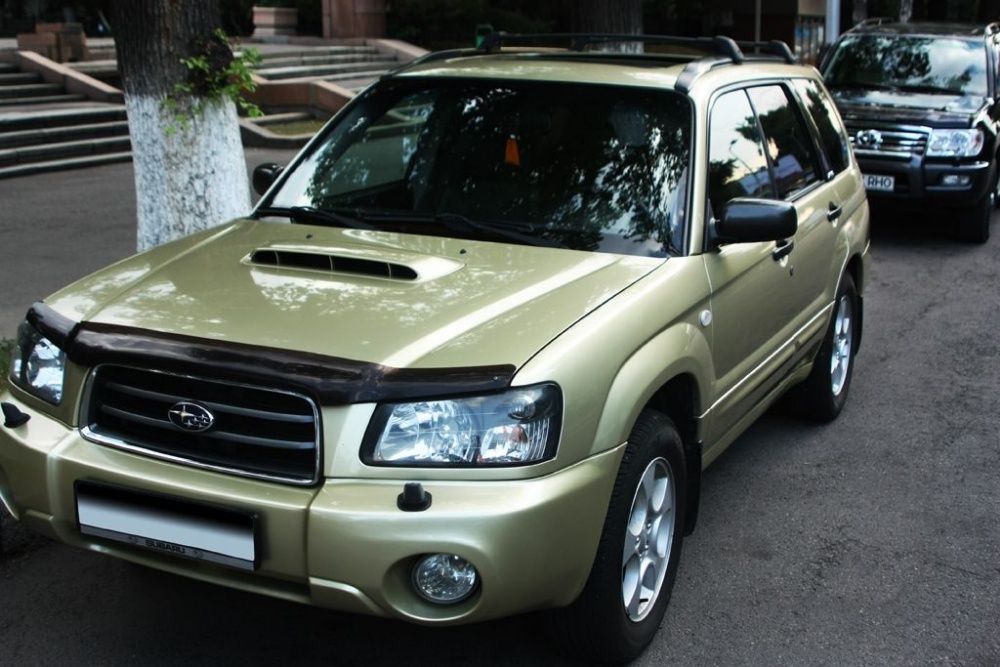 Мухобойки на Subaru: 365 тг. - Аксессуары для авто Алматы на Olx