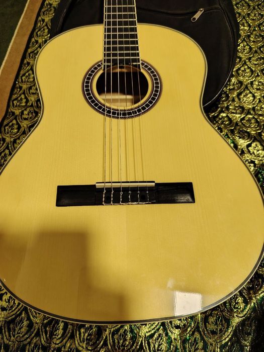 Gitara alergia L310N