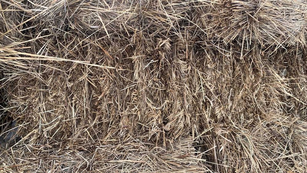 Продам сено в тюках