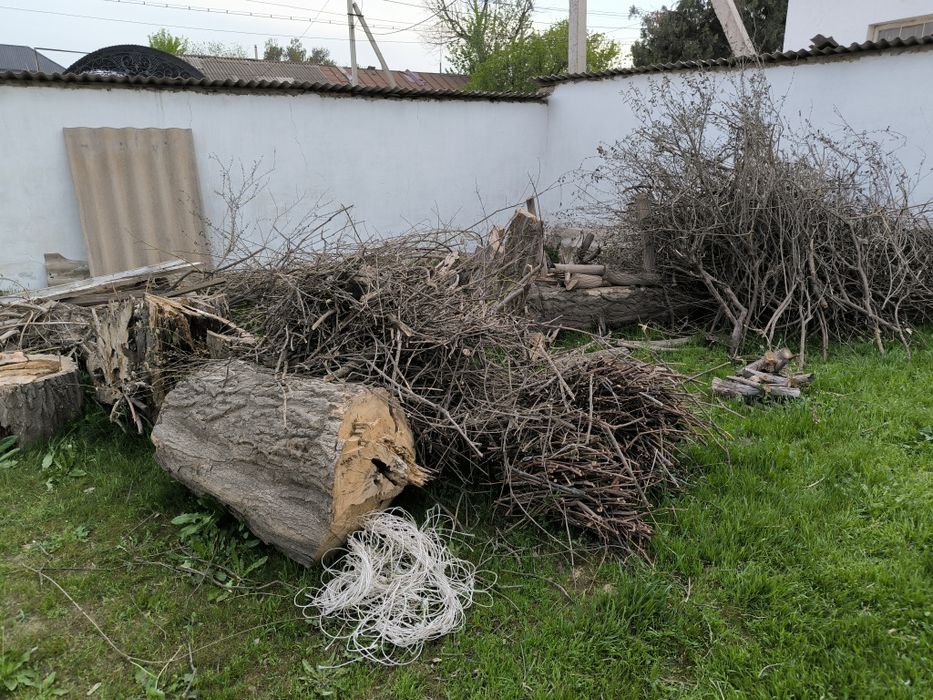 Отын дрова шыбык