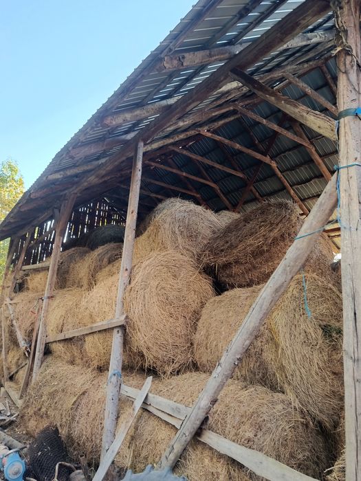 Baloti de lucerna si otava
