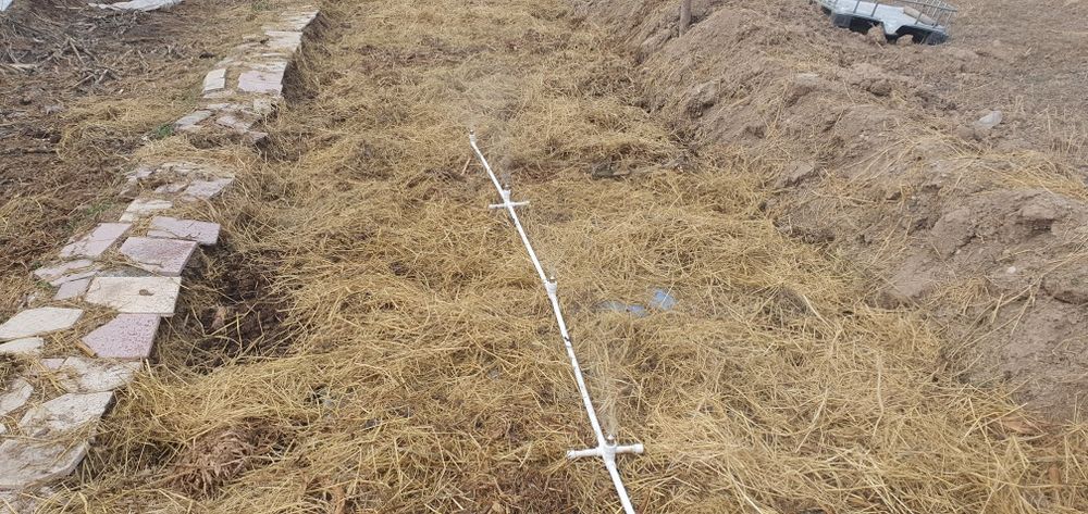 Kaliforniya qizil chuvalchangi.( Калифорния қизил чувалчанги)