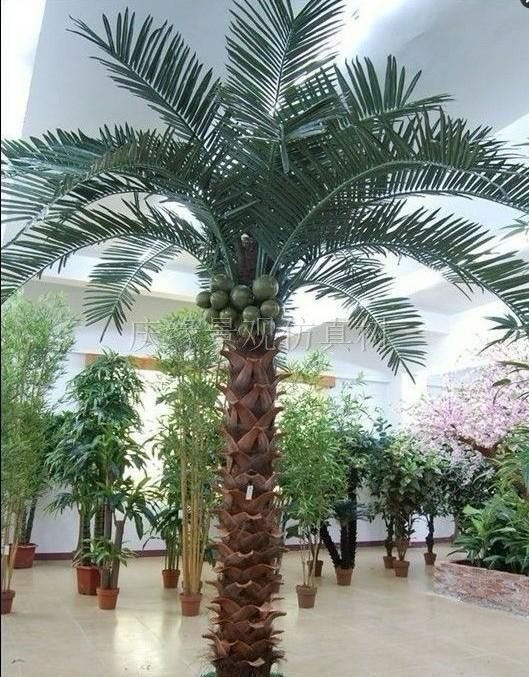 Palma darahtlar искусственный пальмовые деревья