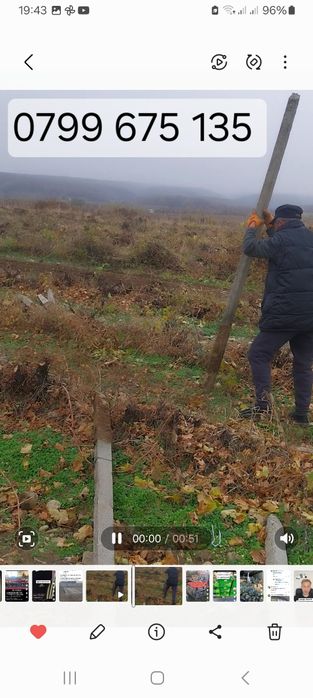 Șpalieri de beton de vânzare și metalici zincați