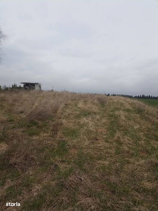 De vânzare teren intravilan în Lacul Reci
