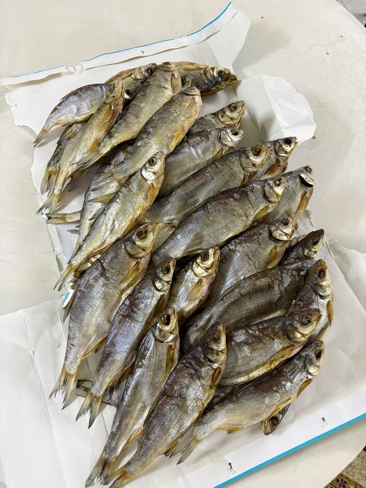 Рыбец Атырауский