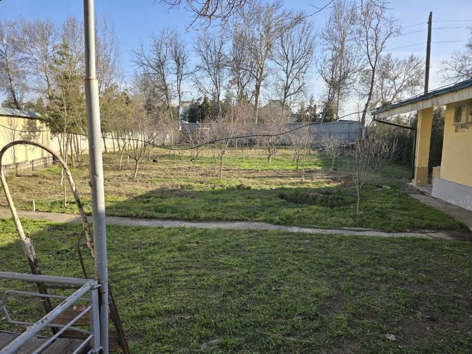 Дача паркент Дала Ховли 1 катор кочани йузида