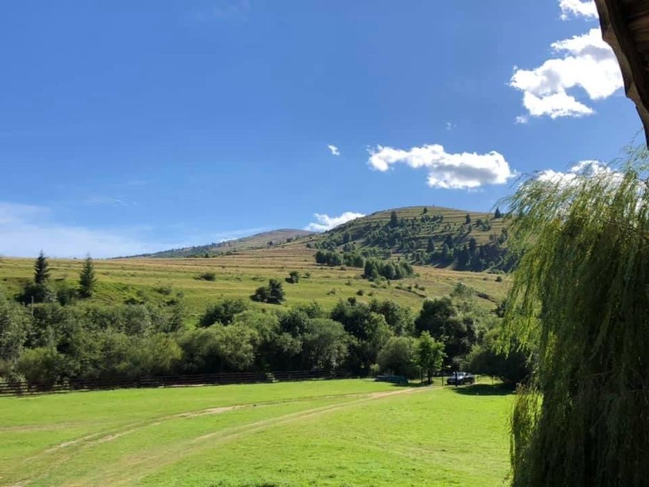 Cabana de vanzare Apuseni
