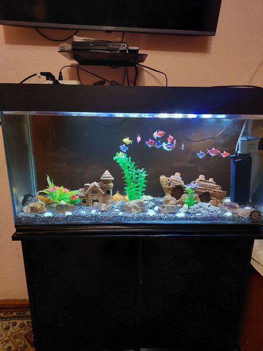 Akvarium hamma narsalari bilan sotiladi