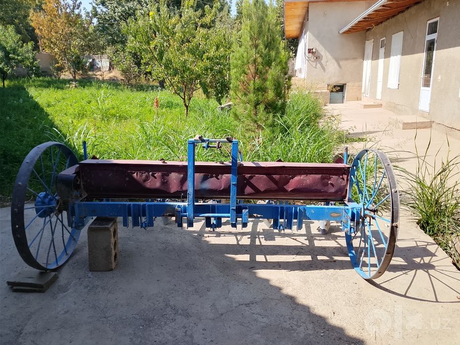 Piyoz selka sotiladi