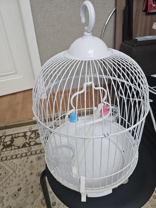 Клетка круглая белая