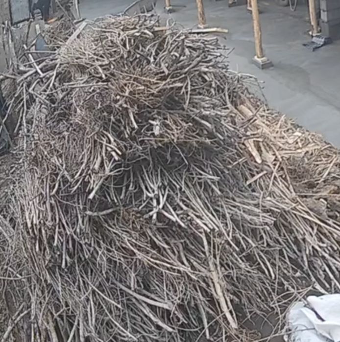 Oʻtinlar terak shoh