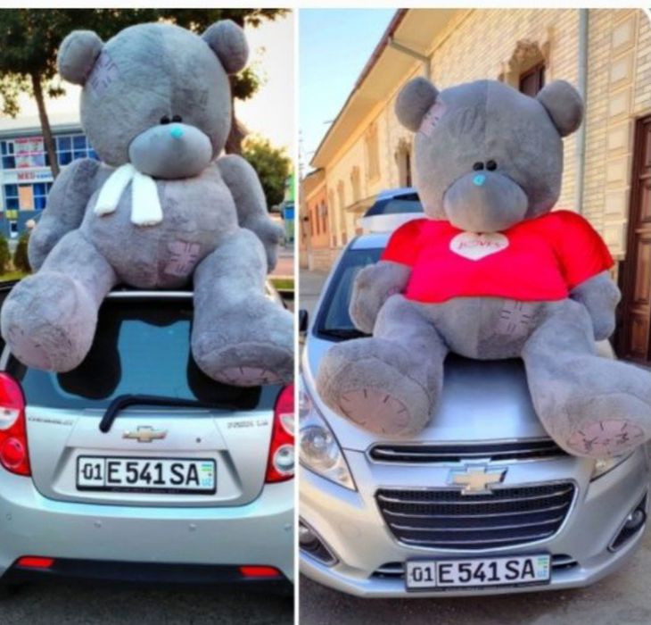 Teddi Teddy ayiqchalar (30sm 3metrgacha)