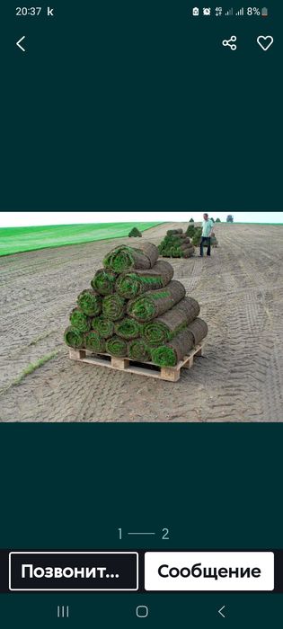 Газон под ключ и продажа 2000 тг