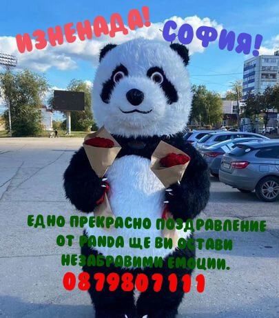 Изненада Забавна панда/мечка/стич/заек/ за всякакви поводи+Водещ