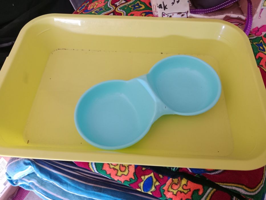 Продам все для котенка