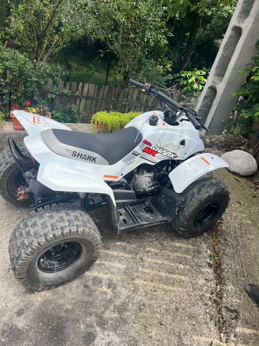 vand atv 125cc quadzilla