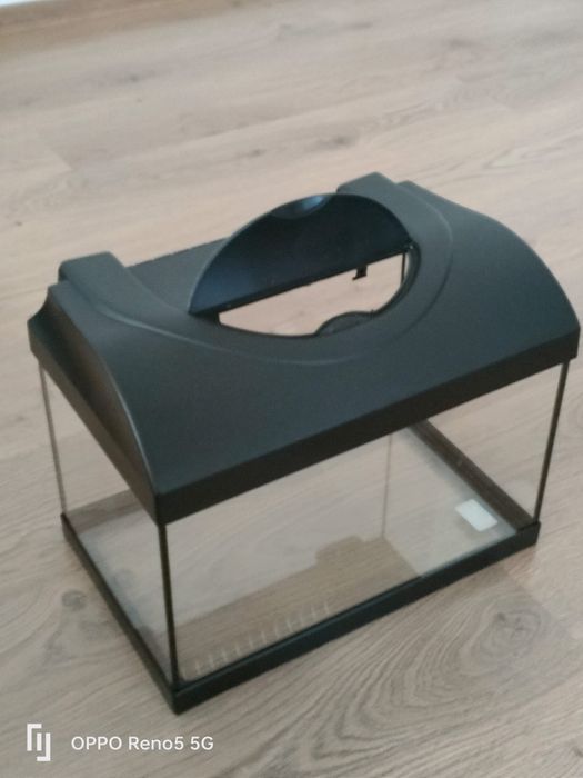 Acvariu pentru pesti